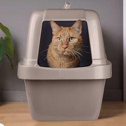 Cat litter box