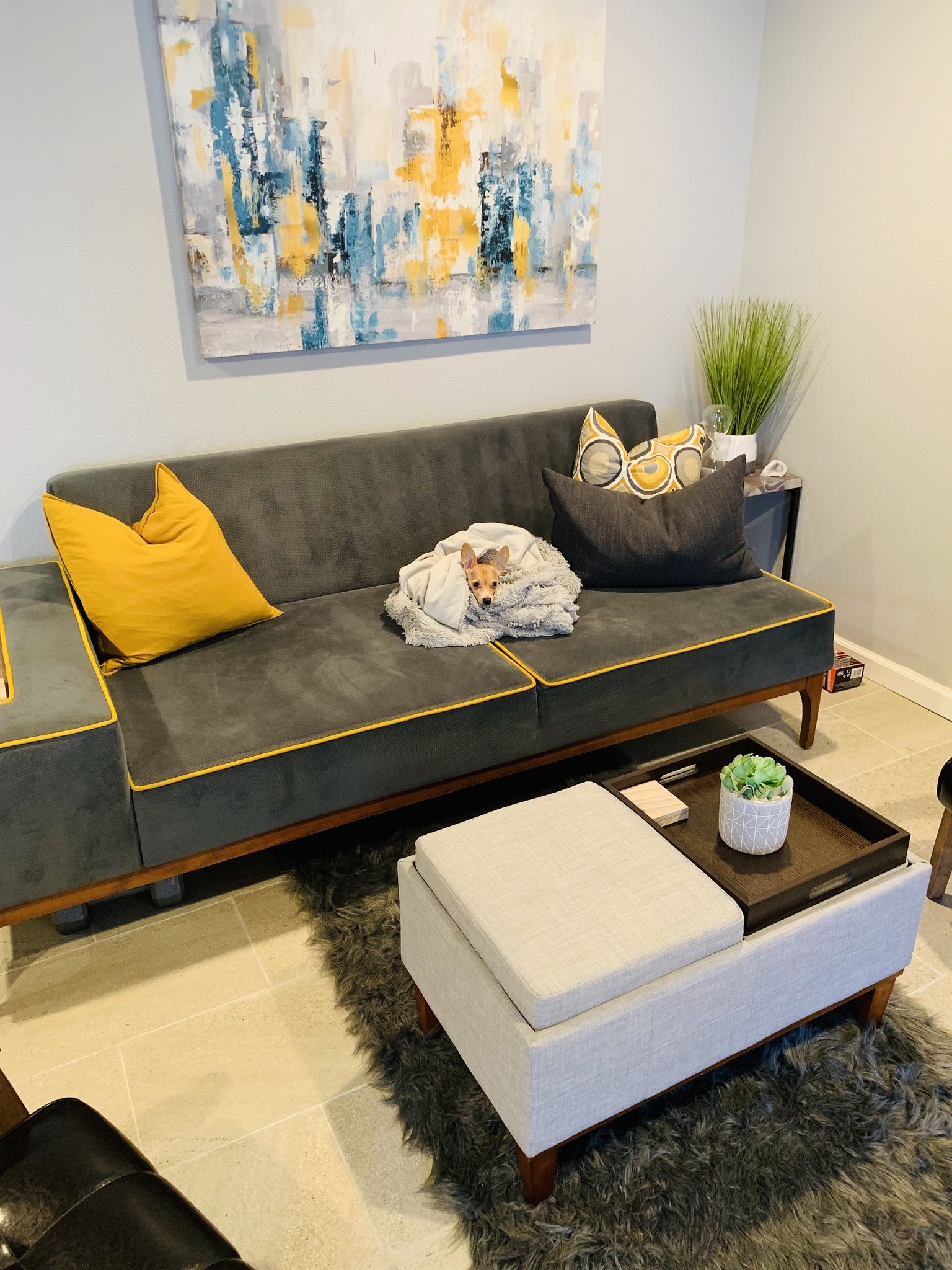 Blue Sofa/Sleeper With Yellow Trims With Side Book Case