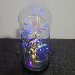 Light Up Dream Flowers Roses