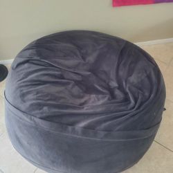 Bean Bag Chair(s)