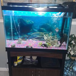 Fish Tank For Sale (FISH NOT INCLUDED)  Thumbnail