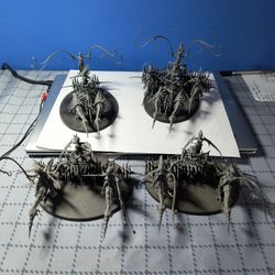 Warhammer Chariots Of Slaanesh 