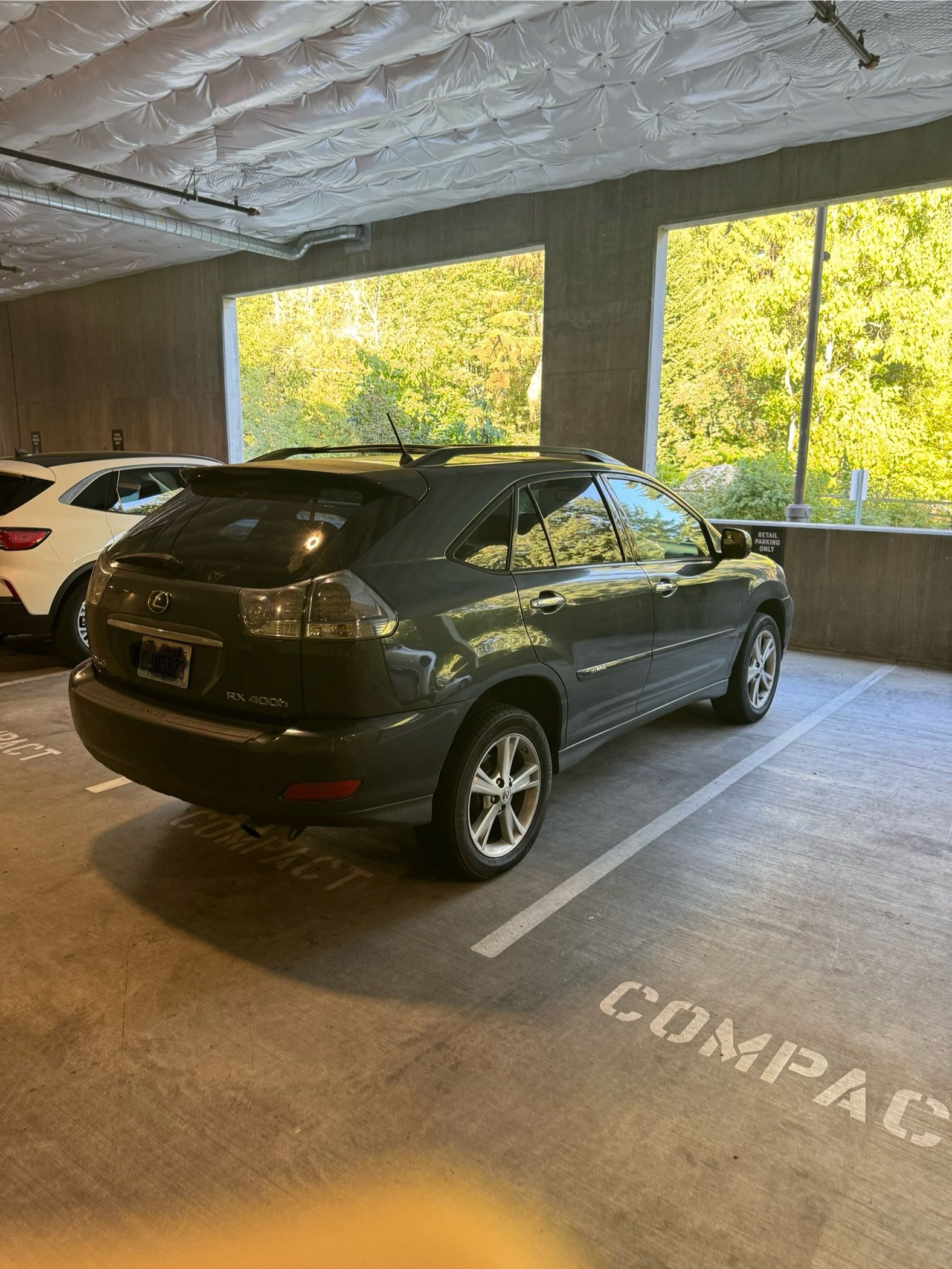 2008 Lexus Rx