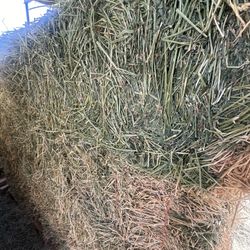 Alfalfa, Bermuda , Cow Hay, 