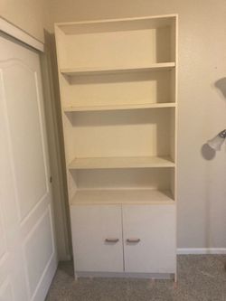 Book Shelves (3)