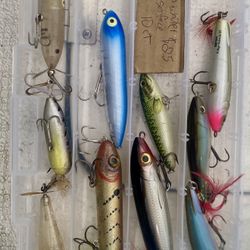 Top Water And Sub Surface Baits 10 Ct