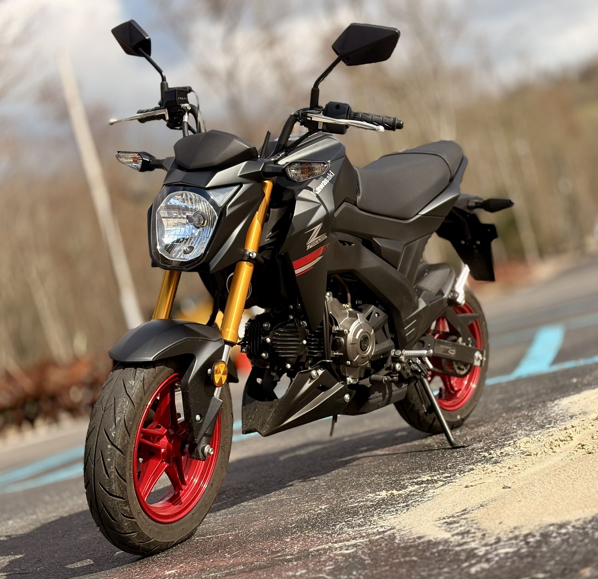 2021 Kawasaki 125pro