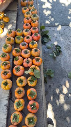 Organic persimmons 2 for $1.00