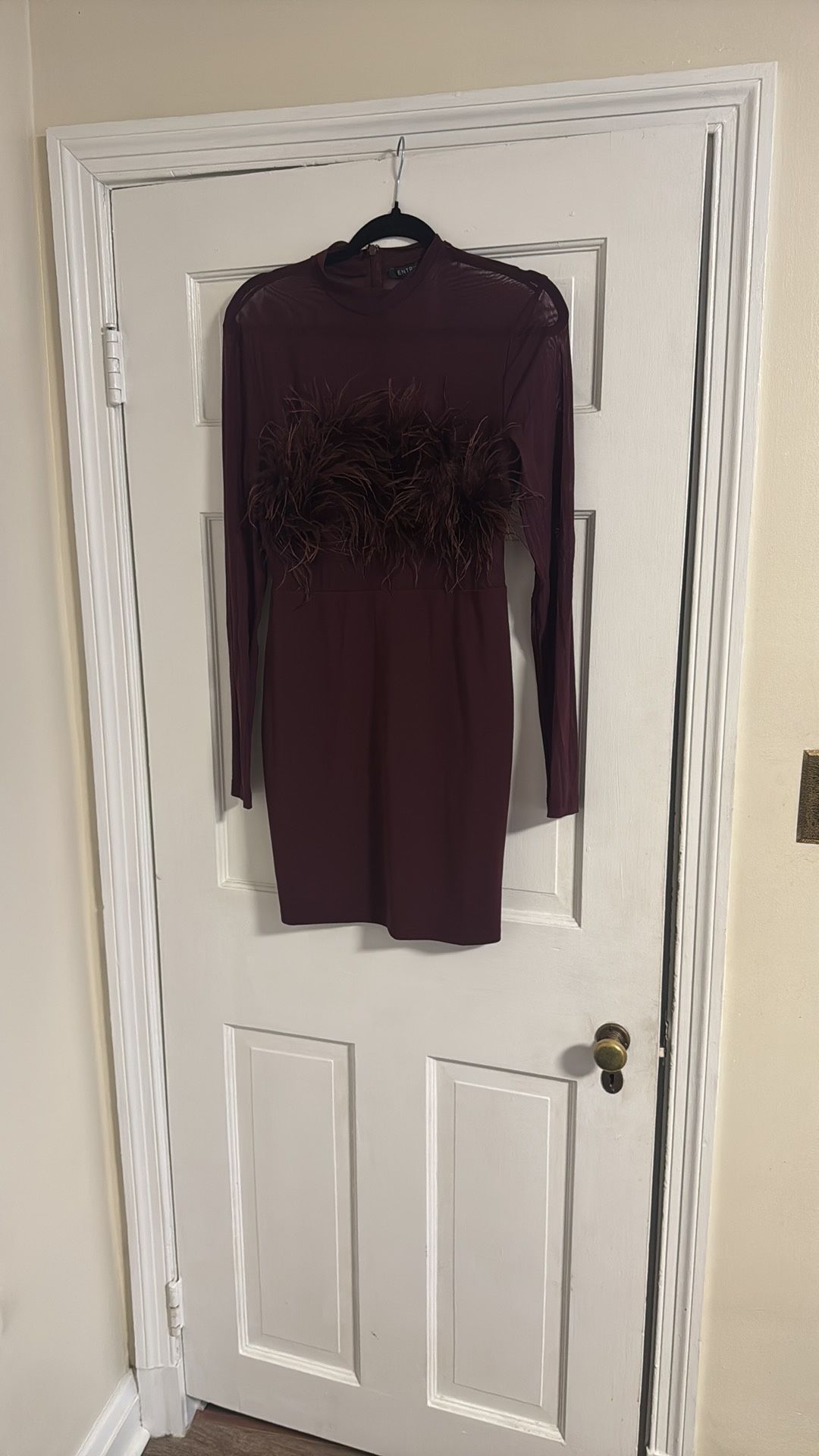 Elegant Burgundy Feathered Dress