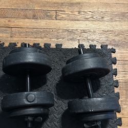 2 - 20lb Dumbbells 