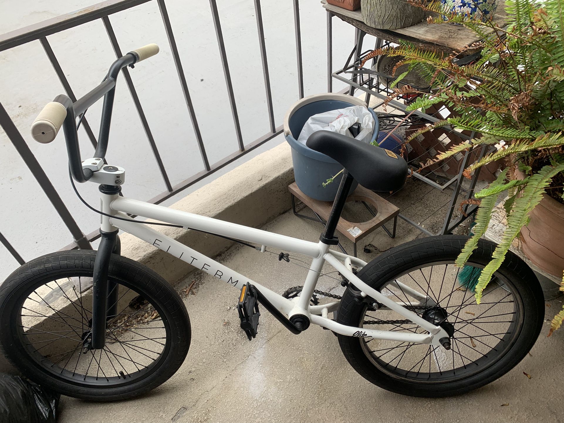 Elite BMX