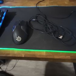 Steelseries Rival 600 Mouse