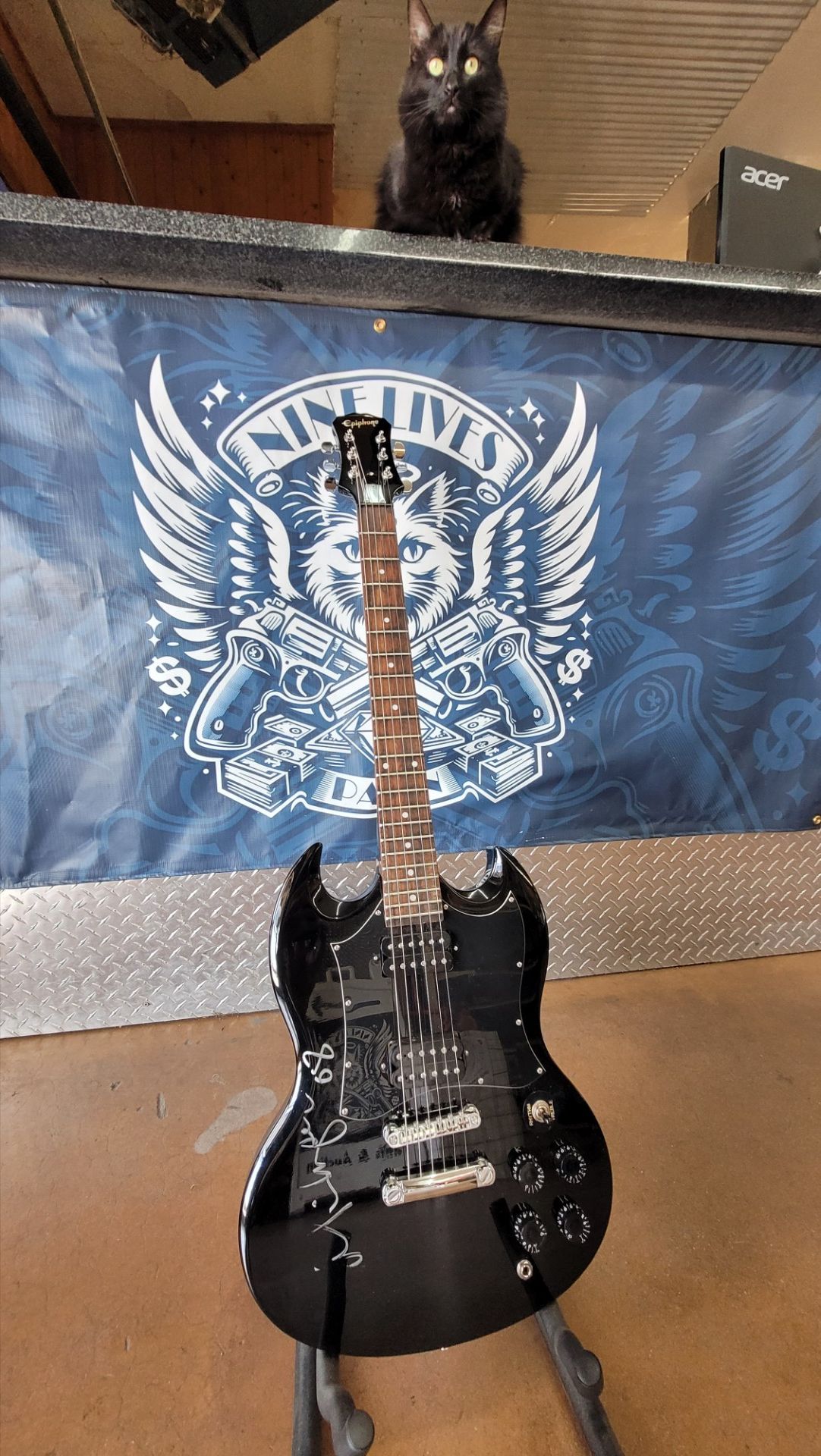 Hofner Violin Bass