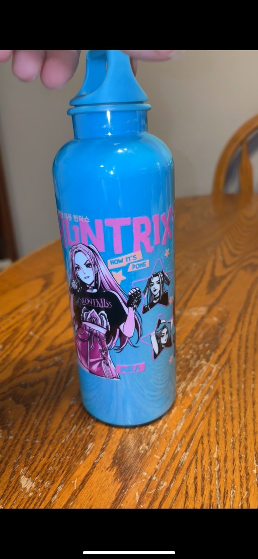 Blue And Pink Huntrix Water Bottle 