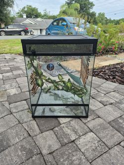 Reptile Terrarium Essentials Kit - 30 Gallon