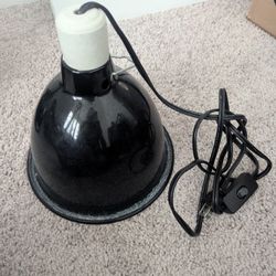 Light Fixture For Repitles