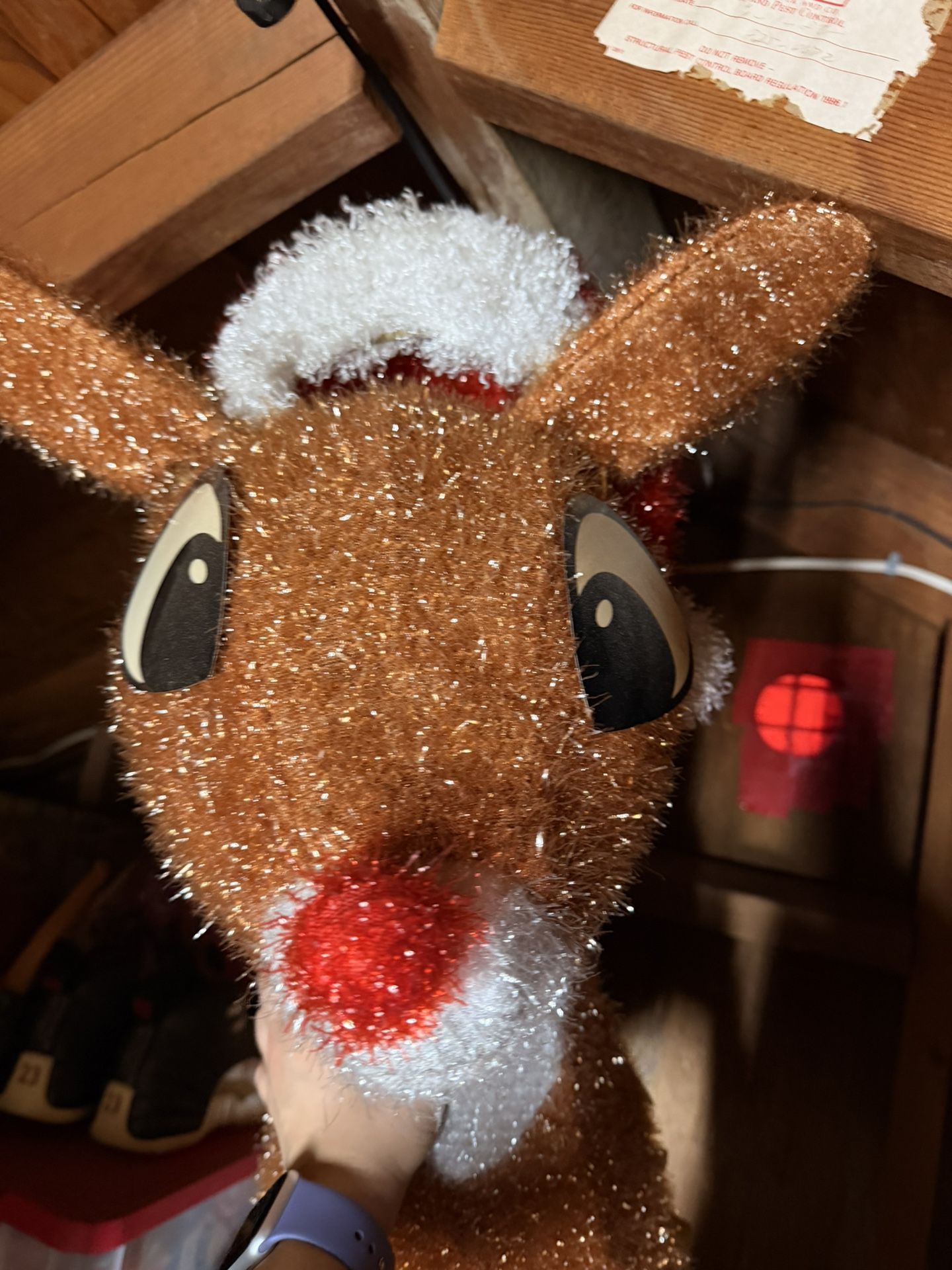 Rudolph The red Nose Reindeer