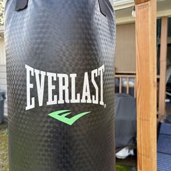 Everlast Heavy Bag and Stand
