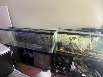 125 Tank And Stand Fx6 