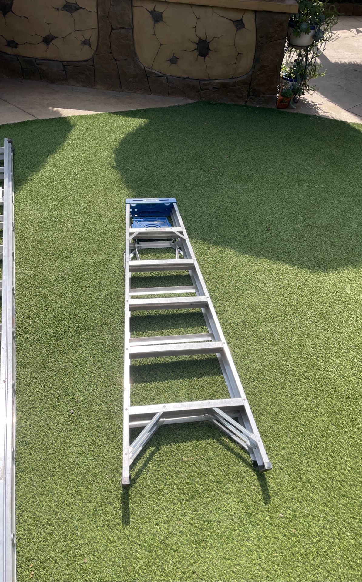 Werner Ladder