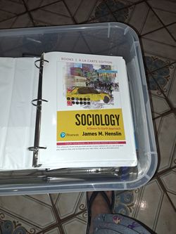 Sociology: A Down-To-Earth Approach 14th Edition