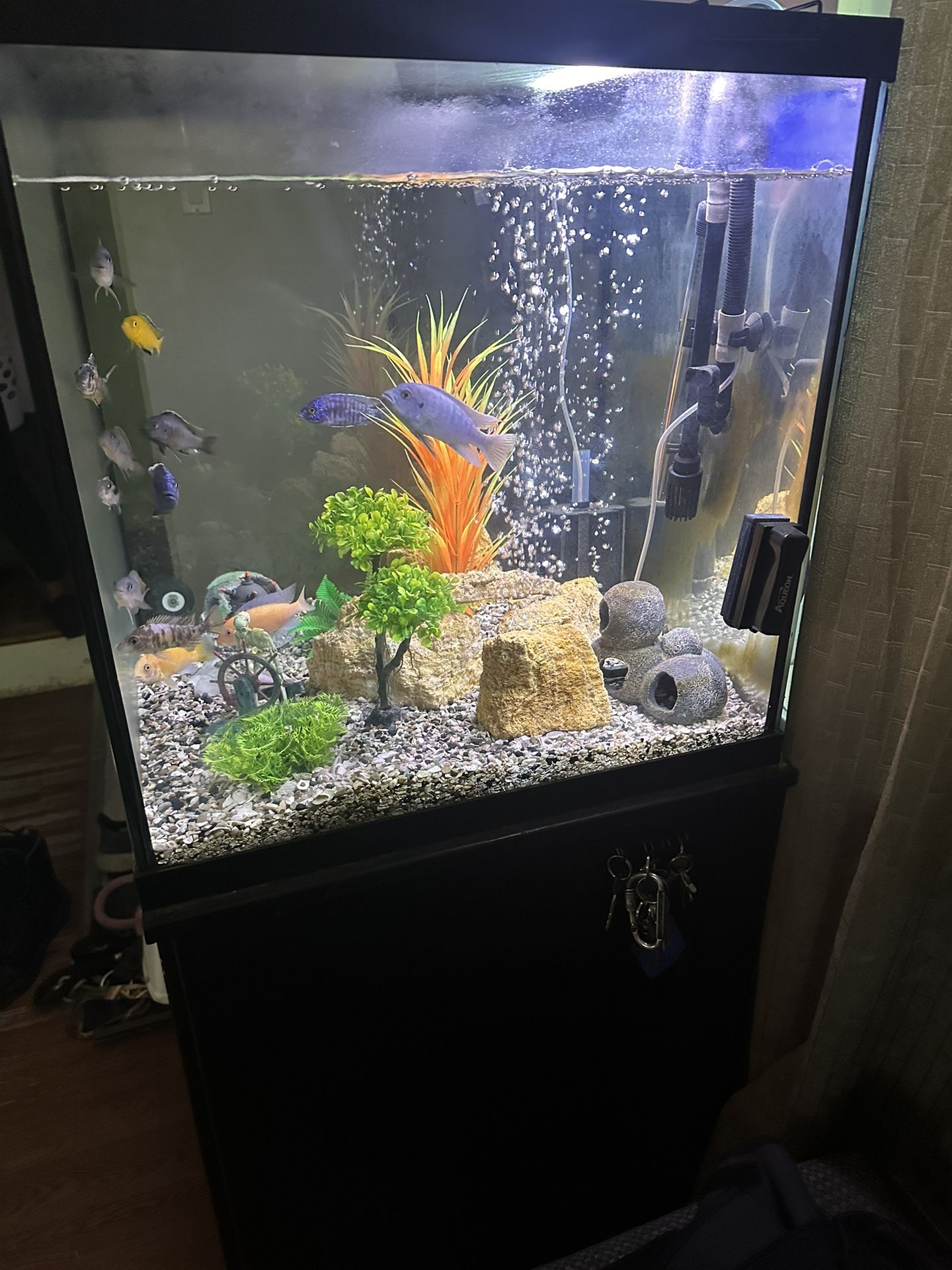 Complete 65 Gallon Cube Fish Tank