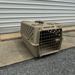 Pet Kennel 