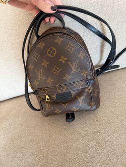 Palm Springs lv backpack