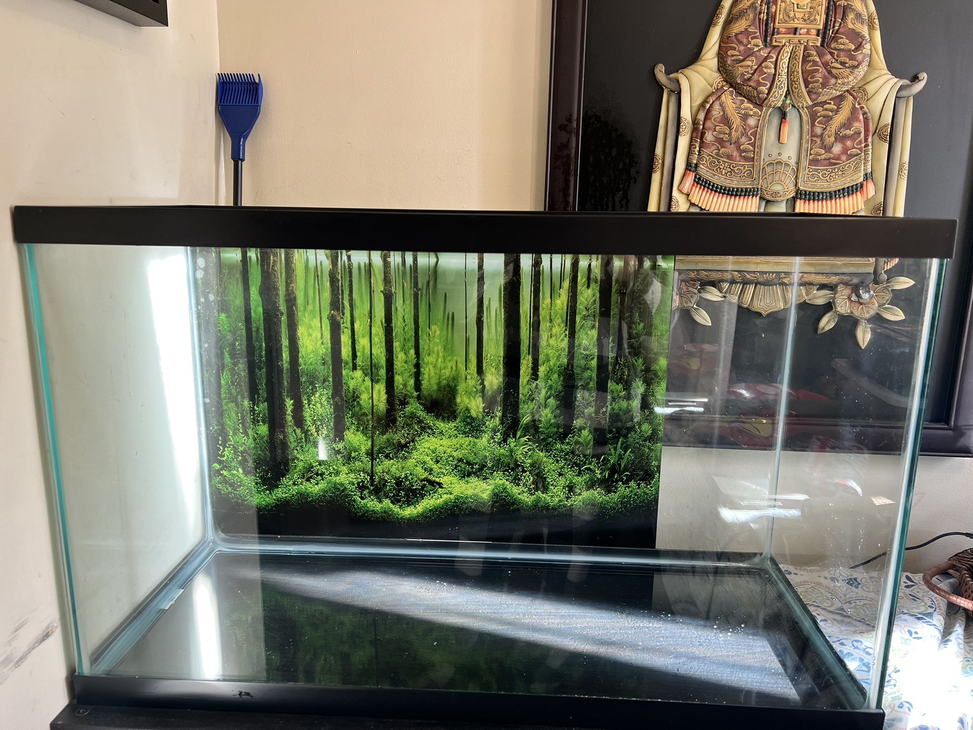 30 Gallon Aquarium And Other Aquarium Gadgets