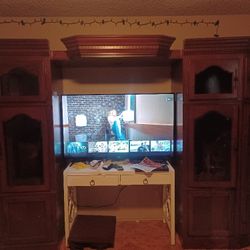 Solid Wood Entertainment Center