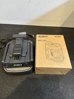 Ego 5.0 AH battery + charger