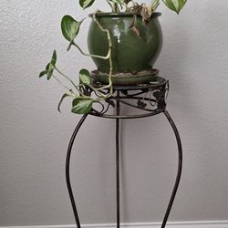 Panacea Scroll & Ivy Wrought Iron Plant Stand. 