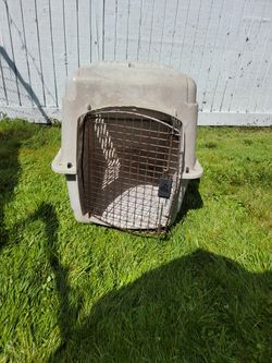 Dog Crate
