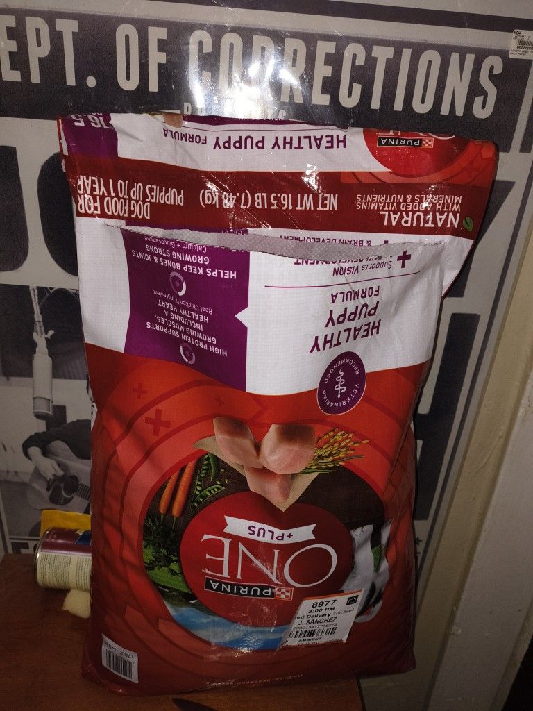 Purina One Puppy