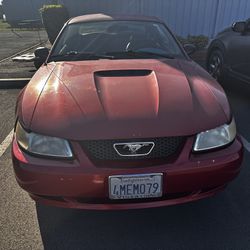 2000 Ford Mustang