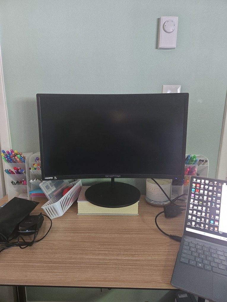 Computer Monitor