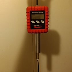 Alpine Digital Scale