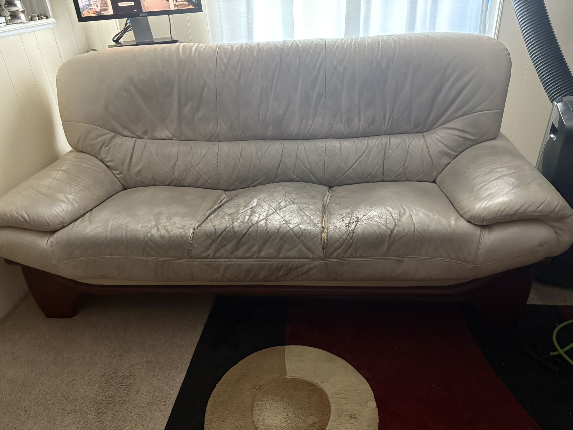 Free Arizona Leather Sofa