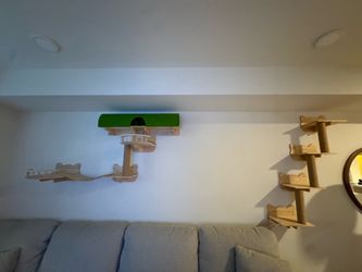 Cat Wall Furniture