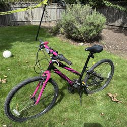 Specialized Girls Bicycle