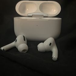 Apple Earbuds