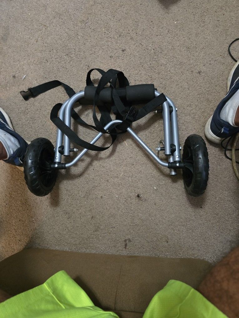 Kayak Or Canoe Carrier