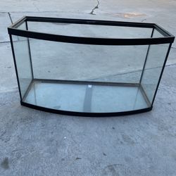 Fish Tank