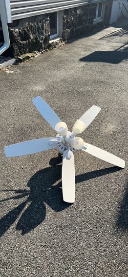 Fan With Lights