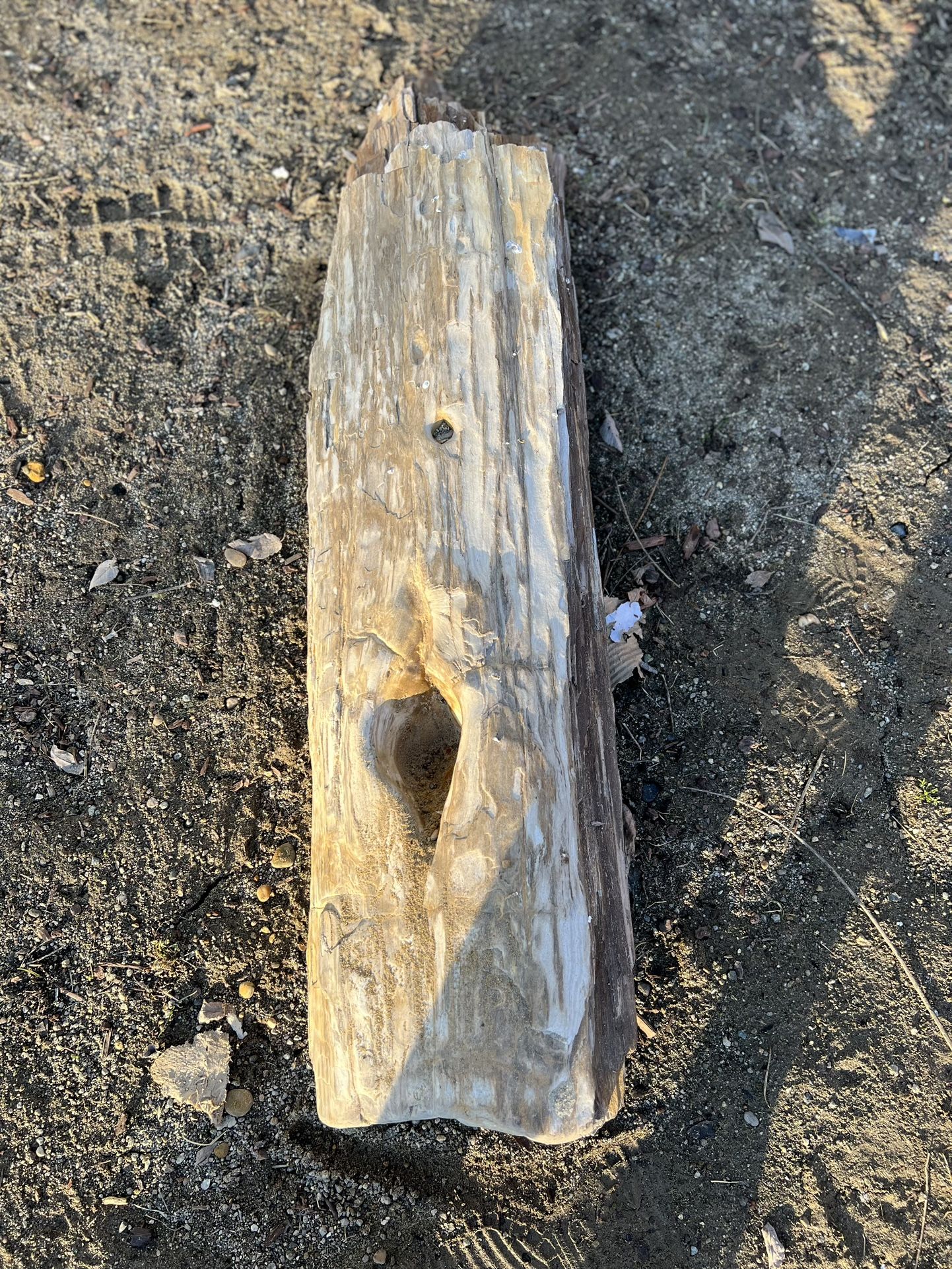 Petrefied Wood About 2 Feet Long 2 Pieces