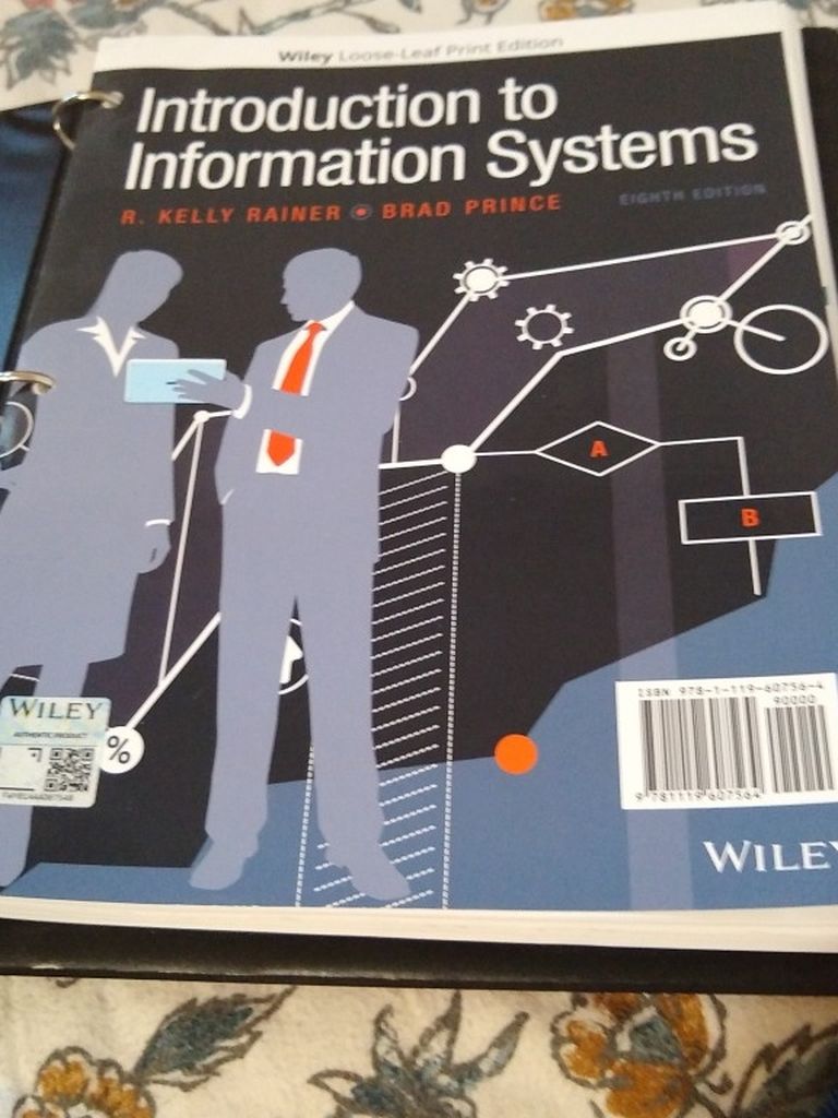 Introduction To Information Systems 8th Edition