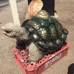 Lucky Turtle 40$ Each 