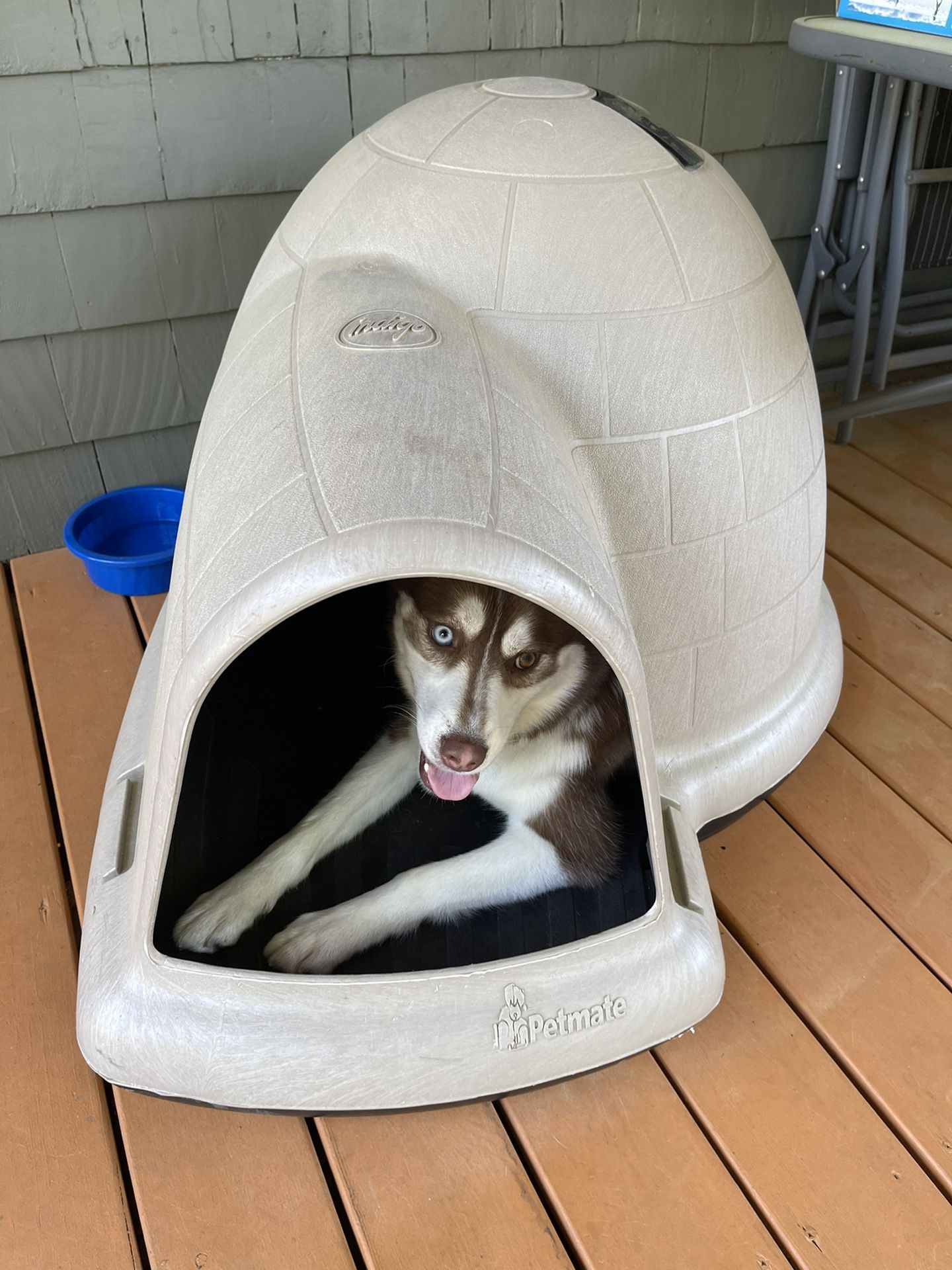 Indigo Igloo Dog House.