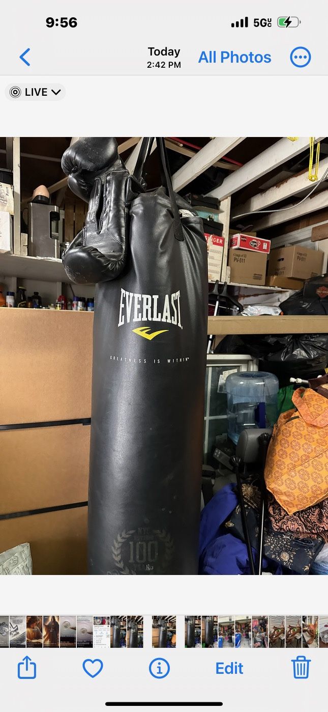 Punching Bag