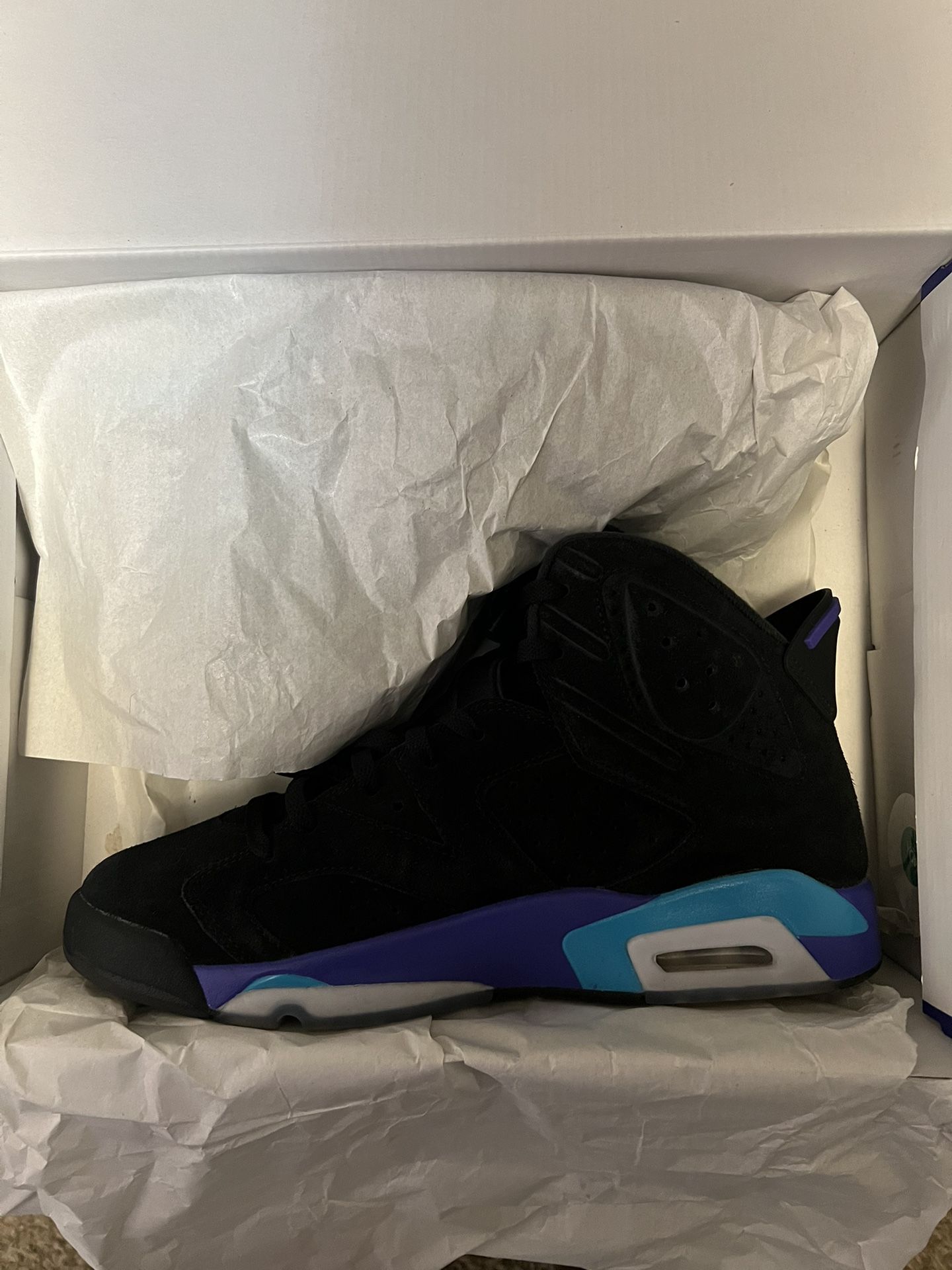 Jordan 6s Sz11